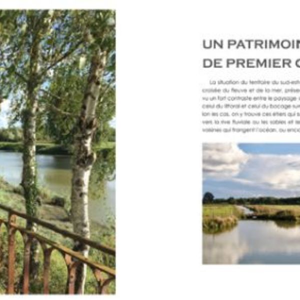 Beaux-livres, conception, mise en page